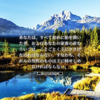 Picture 05 - 出エジプト記 13:12 JPN - あなたは、すべて初めに胎を開いた - Bible Verse Picture