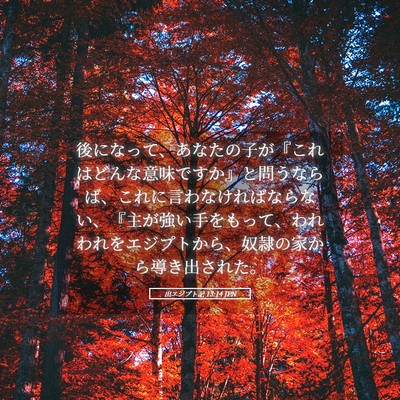 Picture 05 - 出エジプト記 13:14 JPN - 後になって、あなたの子が『これは - Bible Verse Picture