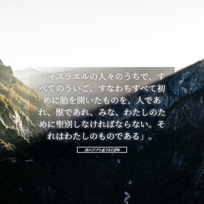 Picture 05 - 出エジプト記 13:2 JPN - 「イスラエルの人々のうちで、すべ - Bible Verse Picture