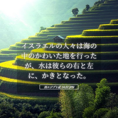 Picture 05 - 出エジプト記 14:22 JPN - イスラエルの人々は海の中のかわい - Bible Verse Picture