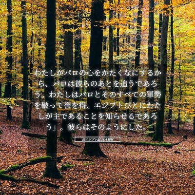 Picture 05 - 出エジプト記 14:4 JPN - わたしがパロの心をかたくなにする - Bible Verse Picture