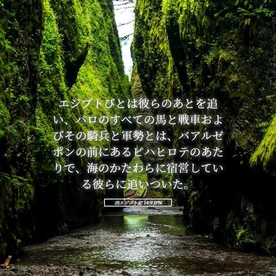 Picture 05 - 出エジプト記 14:9 JPN - エジプトびとは彼らのあとを追い、 - Bible Verse Picture