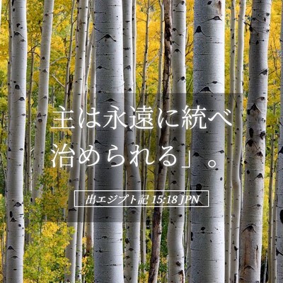 Picture 05 - 出エジプト記 15:18 JPN - 主は永遠に統べ治められる」。 - Bible Verse Picture