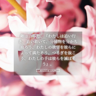 Picture 05 - 出エジプト記 15:9 JPN - 敵は言った、『わたしは追い行き、 - Bible Verse Picture