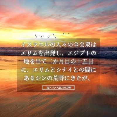 Picture 05 - 出エジプト記 16:1 JPN - イスラエルの人々の全会衆はエリム - Bible Verse Picture