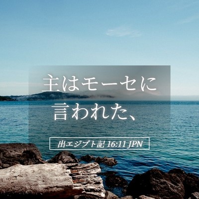 Picture 05 - 出エジプト記 16:11 JPN - 主はモーセに言われた、 - Bible Verse Picture