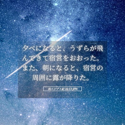 Picture 05 - 出エジプト記 16:13 JPN - 夕べになると、うずらが飛んできて - Bible Verse Picture