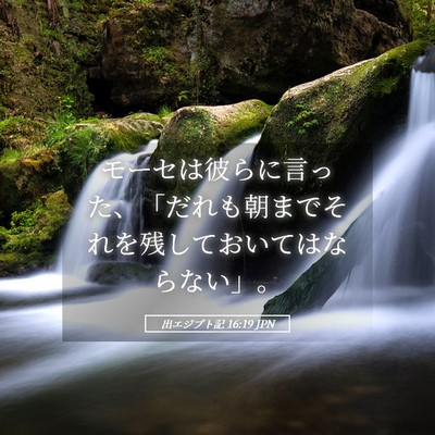 Picture 05 - 出エジプト記 16:19 JPN - モーセは彼らに言った、「だれも朝 - Bible Verse Picture