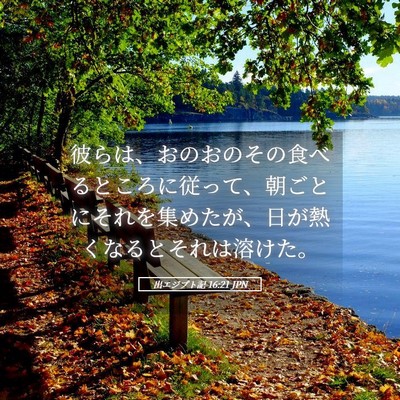 Picture 05 - 出エジプト記 16:21 JPN - 彼らは、おのおのその食べるところ - Bible Verse Picture