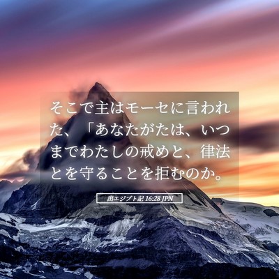 Picture 05 - 出エジプト記 16:28 JPN - そこで主はモーセに言われた、「あ - Bible Verse Picture
