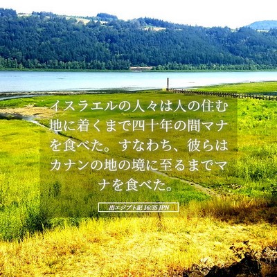 Picture 05 - 出エジプト記 16:35 JPN - イスラエルの人々は人の住む地に着 - Bible Verse Picture