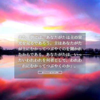 Picture 05 - 出エジプト記 16:7 JPN - また、朝には、あなたがたは主の栄 - Bible Verse Picture