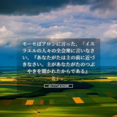 Picture 05 - 出エジプト記 16:9 JPN - モーセはアロンに言った、「イスラ - Bible Verse Picture