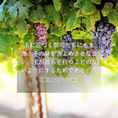 Picture 05 - 出エジプト記 19:22 JPN - 主に近づく祭司たちにもまた、その - Bible Verse Picture
