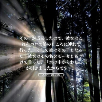 Picture 05 - 出エジプト記 2:10 JPN - その子が成長したので、彼女はこれ - Bible Verse Picture