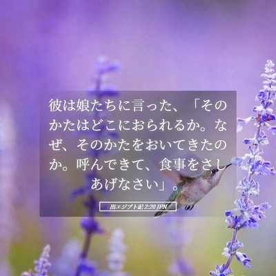 Picture 05 - 出エジプト記 2:20 JPN - 彼は娘たちに言った、「そのかたは - Bible Verse Picture