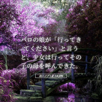 Picture 05 - 出エジプト記 2:8 JPN - パロの娘が「行ってきてください」 - Bible Verse Picture