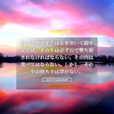 Picture 05 - 出エジプト記 21:28 JPN - もし牛が男または女を突いて殺すな - Bible Verse Picture