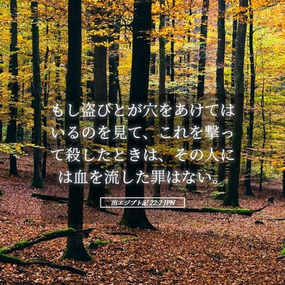 Picture 05 - 出エジプト記 22:2 JPN - もし盗びとが穴をあけてはいるのを - Bible Verse Picture