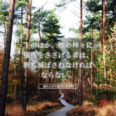 Picture 05 - 出エジプト記 22:20 JPN - 主のほか、他の神々に犠牲をささげ - Bible Verse Picture