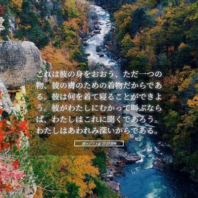 Picture 05 - 出エジプト記 22:27 JPN - これは彼の身をおおう、ただ一つの - Bible Verse Picture