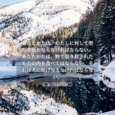 Picture 05 - 出エジプト記 22:31 JPN - あなたがたは、わたしに対して聖な - Bible Verse Picture