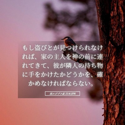Picture 05 - 出エジプト記 22:8 JPN - もし盗びとが見つけられなければ、 - Bible Verse Picture