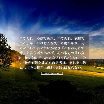 Picture 05 - 出エジプト記 22:9 JPN - 牛であれ、ろばであれ、羊であれ、 - Bible Verse Picture