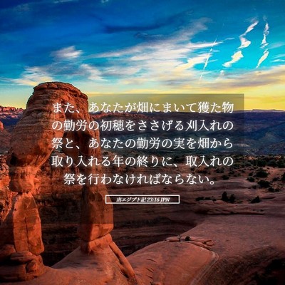 Picture 05 - 出エジプト記 23:16 JPN - また、あなたが畑にまいて獲た物の - Bible Verse Picture