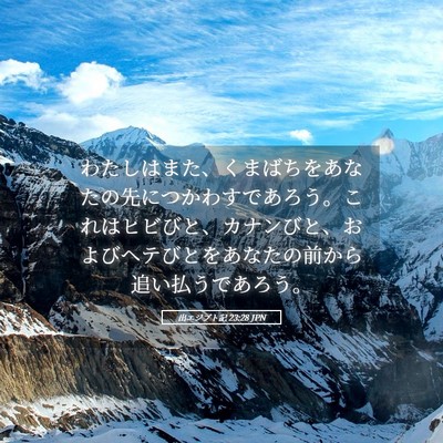 Picture 05 - 出エジプト記 23:28 JPN - わたしはまた、くまばちをあなたの - Bible Verse Picture