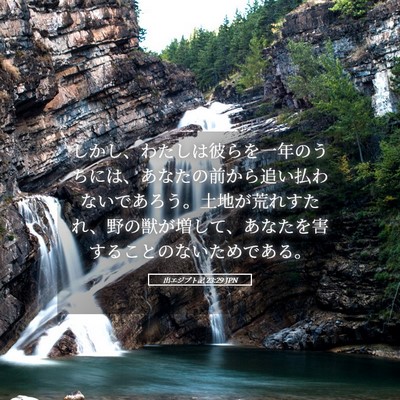 Picture 05 - 出エジプト記 23:29 JPN - しかし、わたしは彼らを一年のうち - Bible Verse Picture
