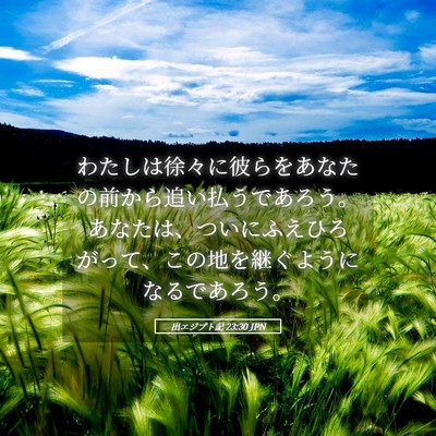 Picture 05 - 出エジプト記 23:30 JPN - わたしは徐々に彼らをあなたの前か - Bible Verse Picture