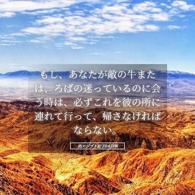Picture 05 - 出エジプト記 23:4 JPN - もし、あなたが敵の牛または、ろば - Bible Verse Picture