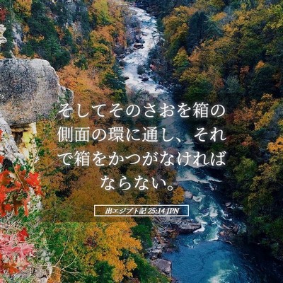 Picture 05 - 出エジプト記 25:14 JPN - そしてそのさおを箱の側面の環に通 - Bible Verse Picture