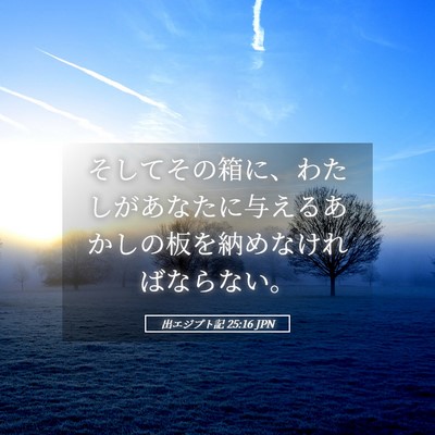 Picture 05 - 出エジプト記 25:16 JPN - そしてその箱に、わたしがあなたに - Bible Verse Picture