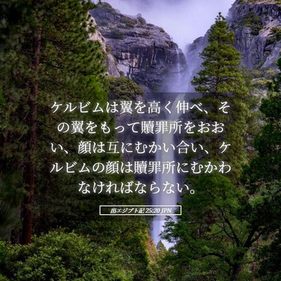 Picture 05 - 出エジプト記 25:20 JPN - ケルビムは翼を高く伸べ、その翼を - Bible Verse Picture