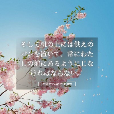 Picture 05 - 出エジプト記 25:30 JPN - そして机の上には供えのパンを置い - Bible Verse Picture