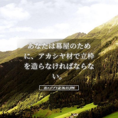 Picture 05 - 出エジプト記 26:15 JPN - あなたは幕屋のために、アカシヤ材 - Bible Verse Picture
