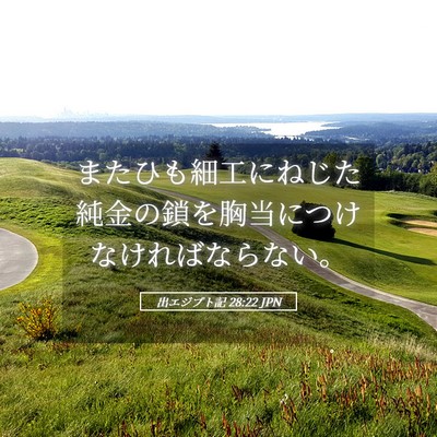 Picture 05 - 出エジプト記 28:22 JPN - またひも細工にねじた純金の鎖を胸 - Bible Verse Picture