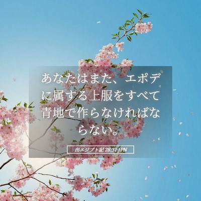 Picture 05 - 出エジプト記 28:31 JPN - あなたはまた、エポデに属する上服 - Bible Verse Picture