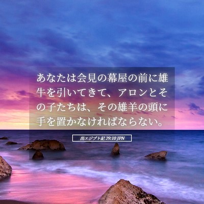 Picture 05 - 出エジプト記 29:10 JPN - あなたは会見の幕屋の前に雄牛を引 - Bible Verse Picture
