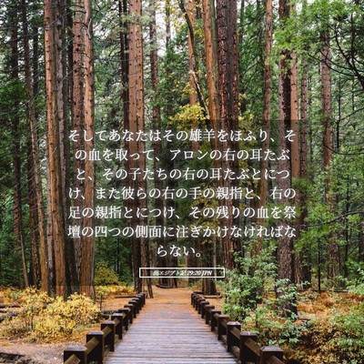 Picture 05 - 出エジプト記 29:20 JPN - そしてあなたはその雄羊をほふり、 - Bible Verse Picture
