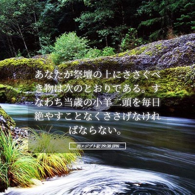 Picture 05 - 出エジプト記 29:38 JPN - あなたが祭壇の上にささぐべき物は - Bible Verse Picture