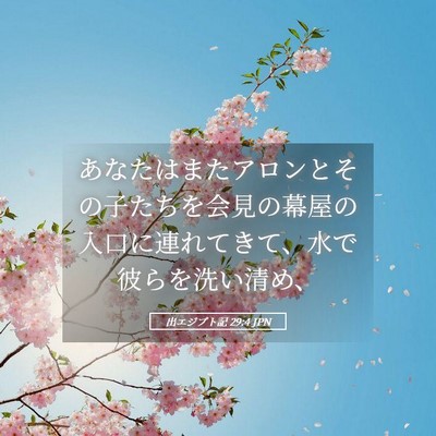 Picture 05 - 出エジプト記 29:4 JPN - あなたはまたアロンとその子たちを - Bible Verse Picture