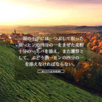 Picture 05 - 出エジプト記 29:40 JPN - 一頭の小羊には、つぶして取った油 - Bible Verse Picture