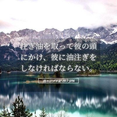 Picture 05 - 出エジプト記 29:7 JPN - 注ぎ油を取って彼の頭にかけ、彼に - Bible Verse Picture