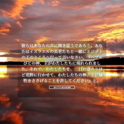 Picture 05 - 出エジプト記 3:18 JPN - 彼らはあなたの声に聞き従うであろ - Bible Verse Picture