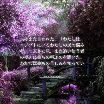 Picture 05 - 出エジプト記 3:7 JPN - 主はまた言われた、「わたしは、エ - Bible Verse Picture
