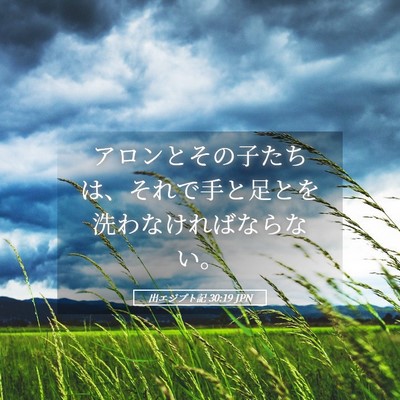 Picture 05 - 出エジプト記 30:19 JPN - アロンとその子たちは、それで手と - Bible Verse Picture