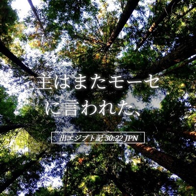 Picture 05 - 出エジプト記 30:22 JPN - 主はまたモーセに言われた、 - Bible Verse Picture